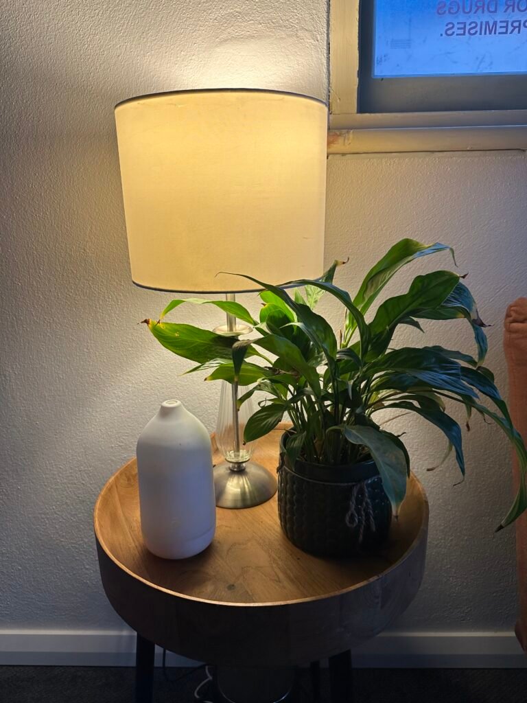img 2783