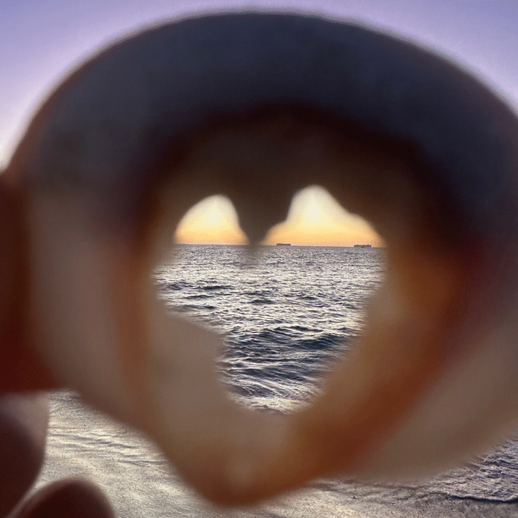 sunset through inside of a shell, with a a heart-shaped hole